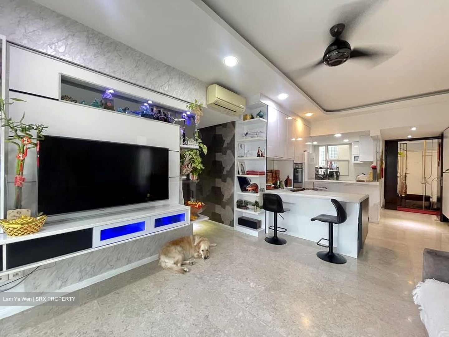Dahlia Park Condominium (D17), Condominium #529442331